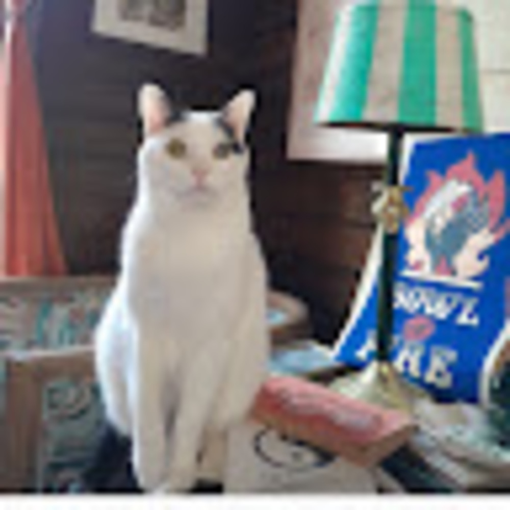 Meet your Posher, Coco